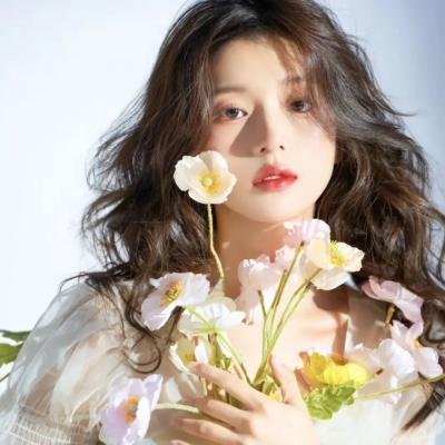 桃花扇传奇
